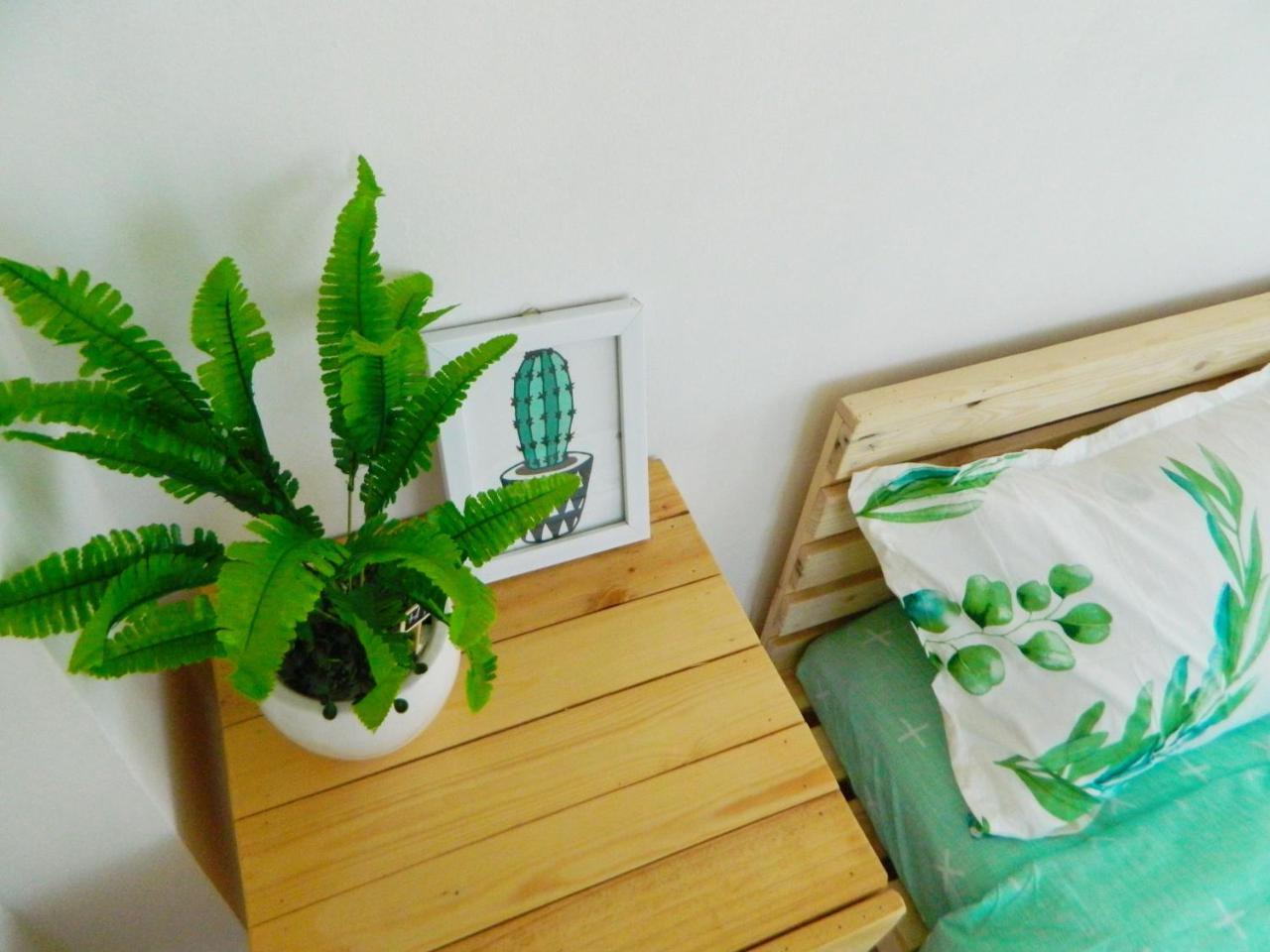 Homestay Trop Home Danang Exterior photo